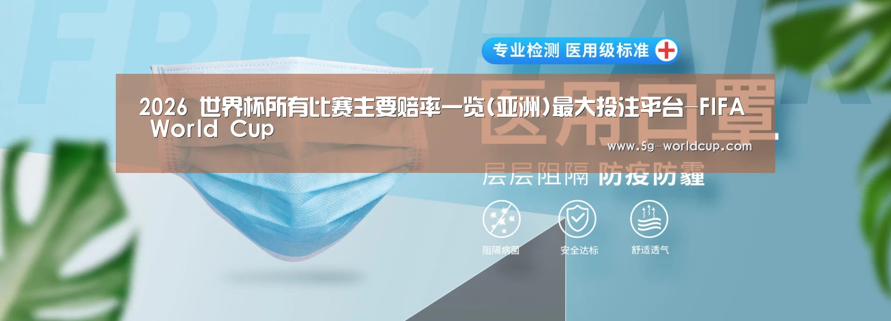 某某口罩防护用品有限公司