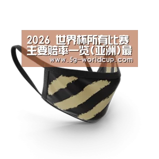 成人布口罩